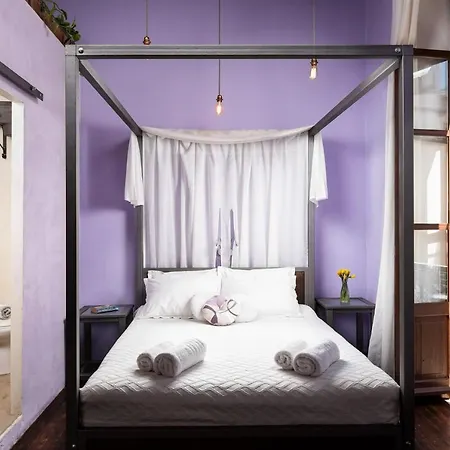 Favela Living Space 하니아